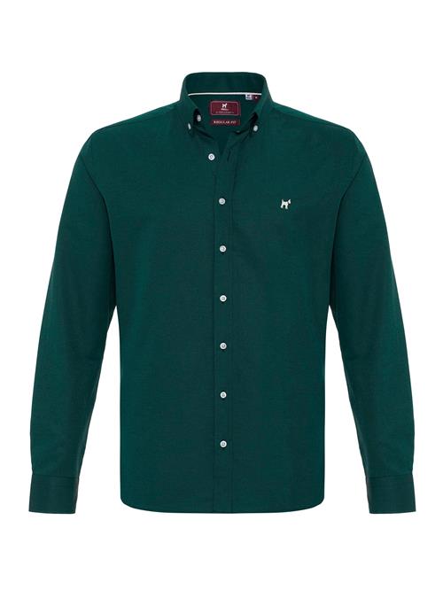 Williot Skjorte  grøn / hvid