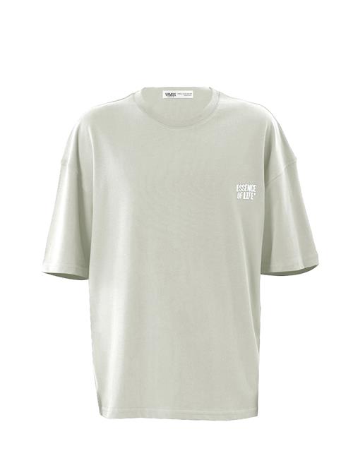 VAMOS CLO Bluser & t-shirts  blå / grå / hvid