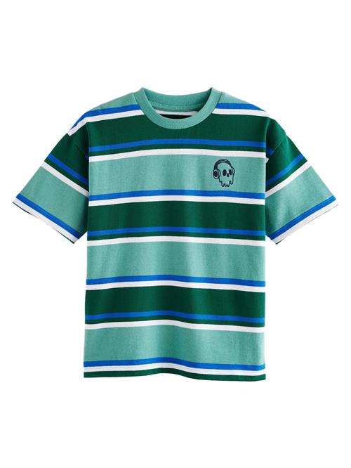 Next Shirts  blå / grøn / hvid