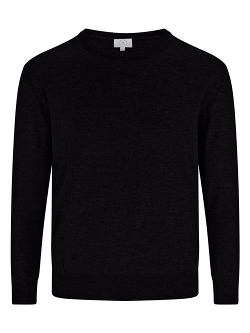 CASH-MERE.CH Pullover  sort