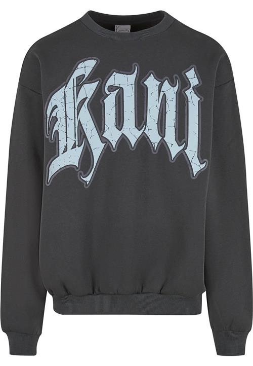 Karl Kani Sweatshirt  lyseblå / antracit