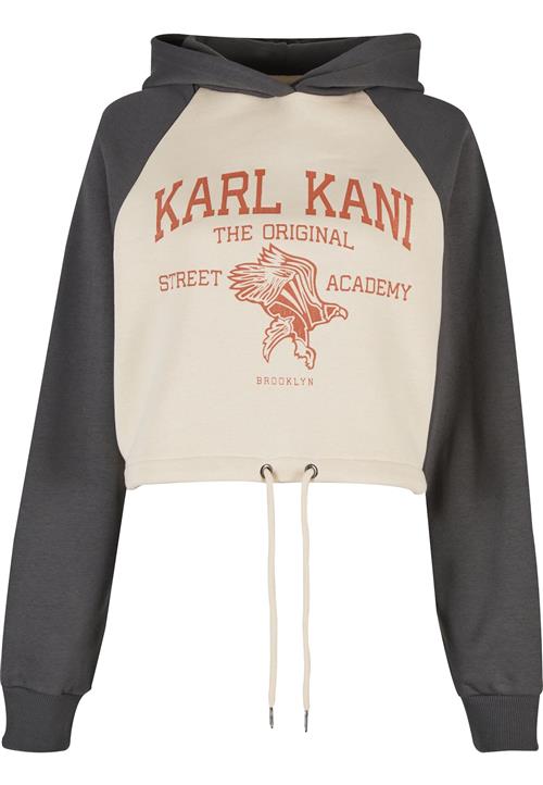 Karl Kani Sweatshirt 'Street Academy'  sand / røgblå / rustrød