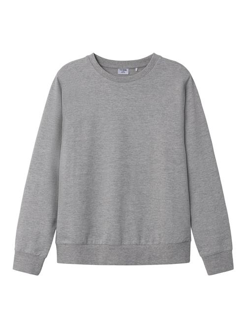 TWO SOON Sweatshirt  grå