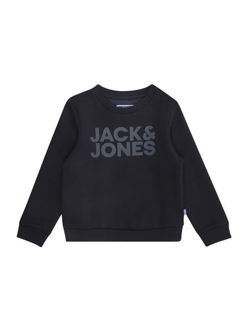 JACK & JONES MINI Sweatshirt 'JJECorp'  navy / grå