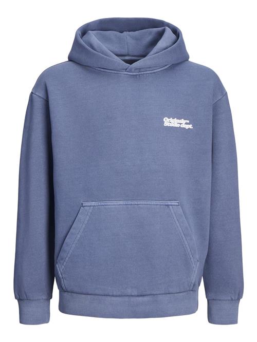 Jack & Jones Junior Sweatshirt  blå / hvid