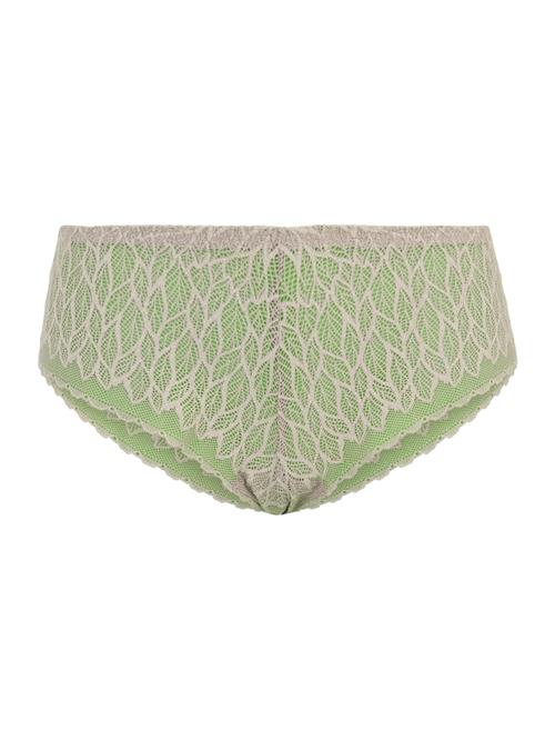 Cache Cœur Panty  beige / kiwi