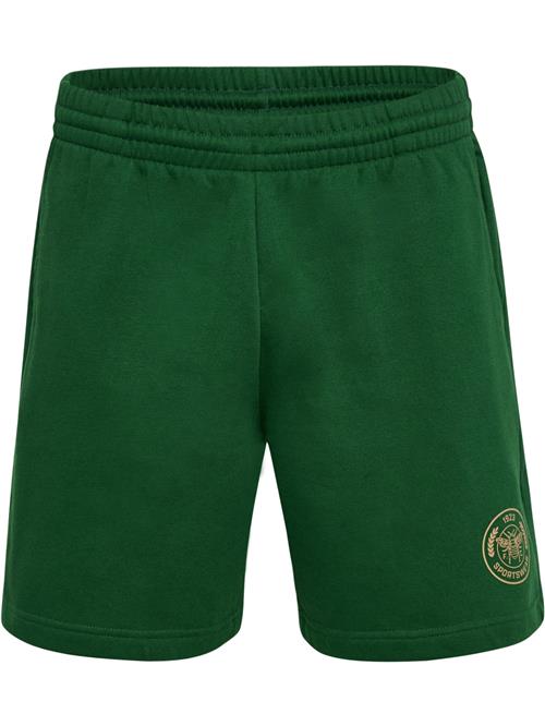 Hummel Sportsbukser 'SWARM'  beige / mørkegrøn