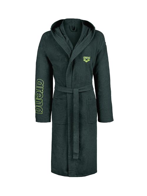 ARENA Sportsbadedragt 'ZEPPELIN LIGHT'  grøn / lysegrøn