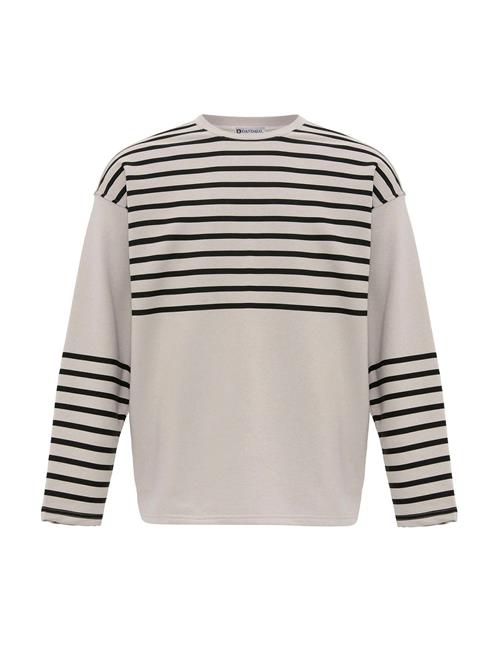 Dandalo Sweatshirt  lysegrå / sort