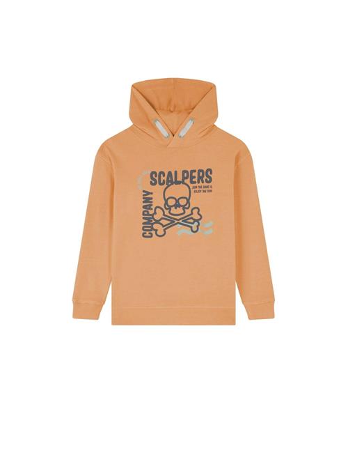 Scalpers Sweatshirt 'Stroke'  grå / mørkegrå / fersken