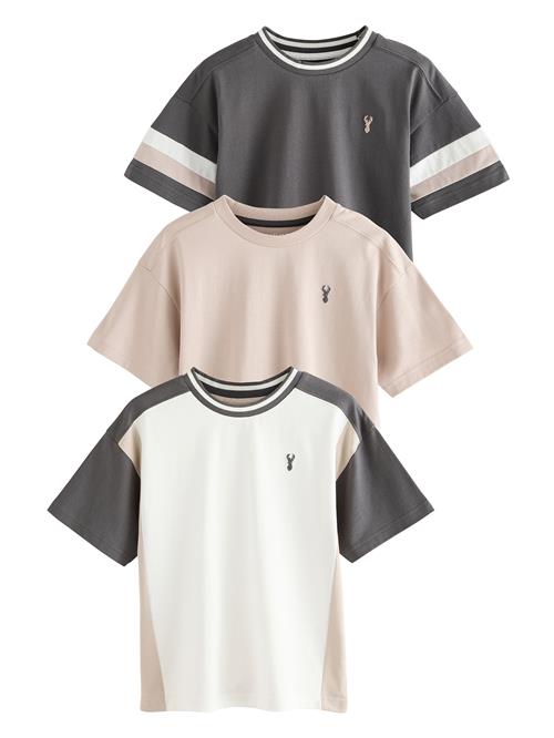 Next Shirts  beige / antracit / offwhite