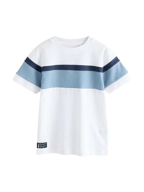 Next Shirts  marin / lyseblå / hvid