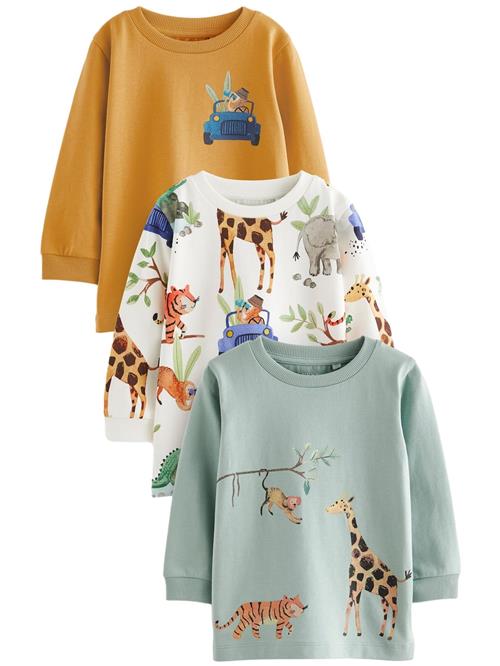 Next Shirts  grøn / mint / orange / hvid