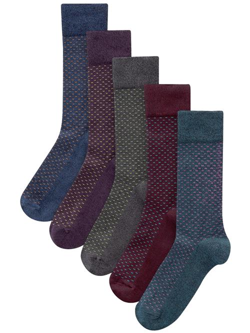 Next Sokker  marin / antracit / brombær / bordeaux