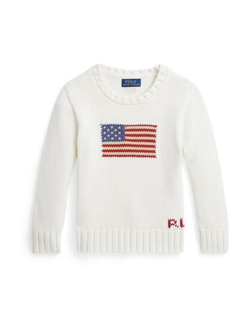 Polo Ralph Lauren Pullover  navy / rød / offwhite