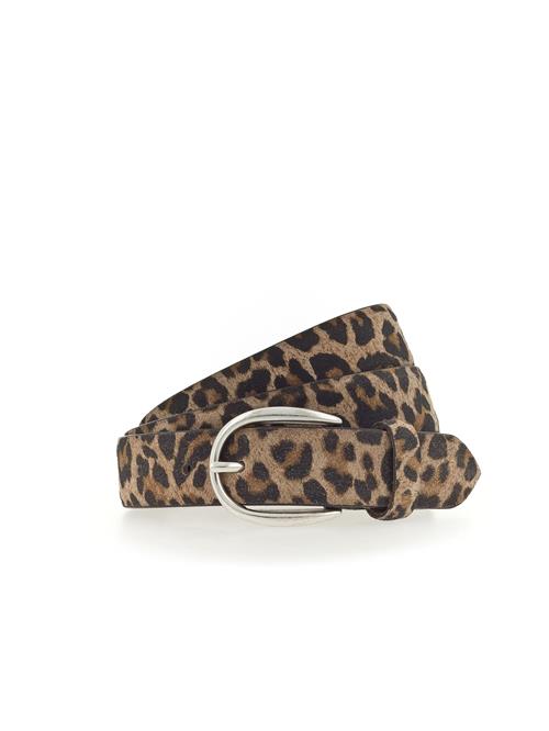 VANZETTI Bælte 'Wild West Inspired'  umbra / taupe / sort