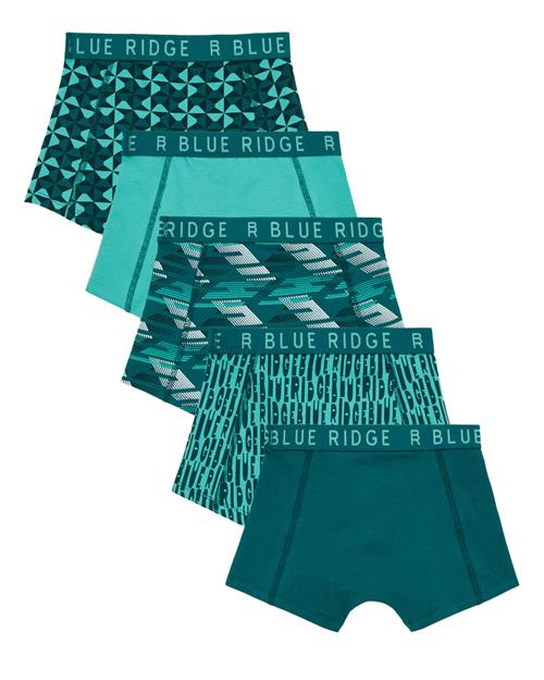 WE Fashion Underbukser  turkis / petroleum