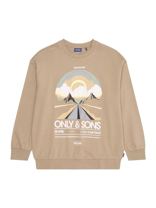Only & Sons Junior Sweatshirt 'OSJROAD'  beige / mørkebeige / dueblå / hvid