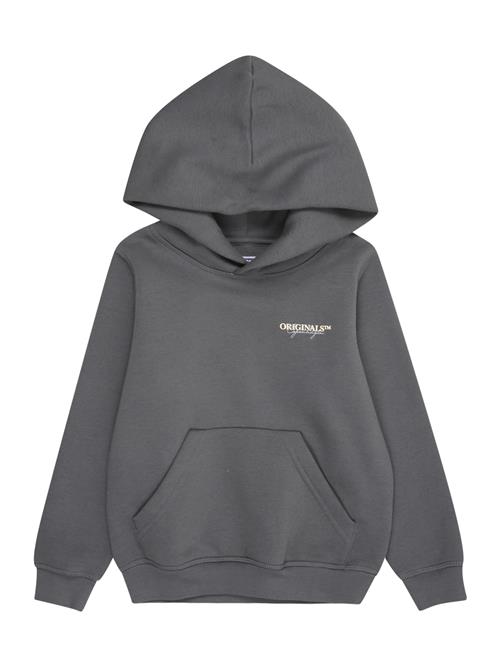 JACK & JONES MINI Sweatshirt 'JORIslington'  grå / lysegrå / hvid