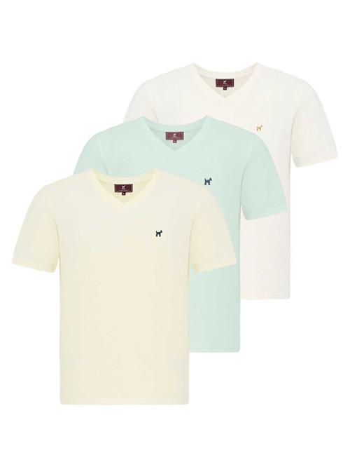 Williot Bluser & t-shirts  turkis / lysegul / hvid