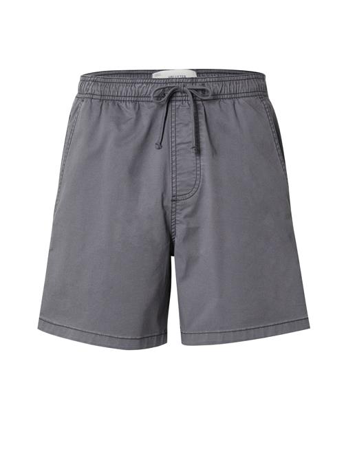 HOLLISTER Bukser  grå