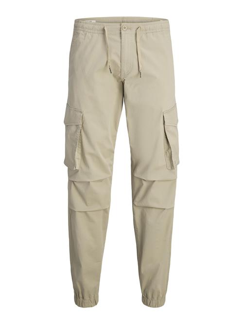 JACK & JONES Cargobukser 'Kane Noah'  grå