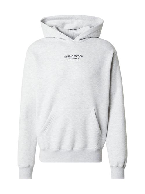 ALPHA INDUSTRIES Sweatshirt 'Studio Edition'  lysegrå / brombær / sort