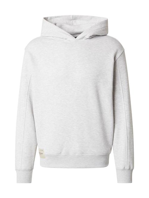 ALPHA INDUSTRIES Sweatshirt 'Studio Edition'  grå