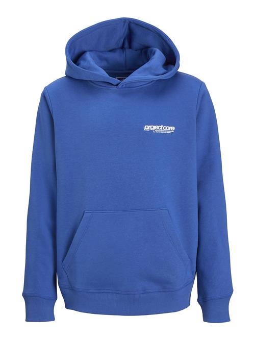 Jack & Jones Junior Sweatshirt  blå / hvid