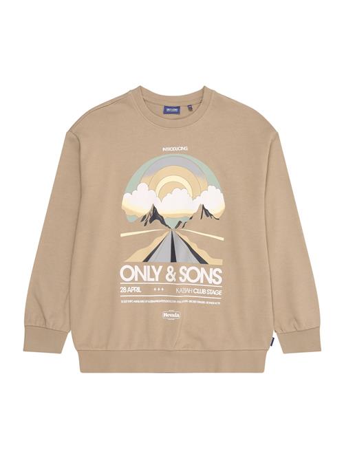 Only & Sons Junior Sweatshirt 'OSJROAD'  beige / mørkebeige / dueblå / hvid