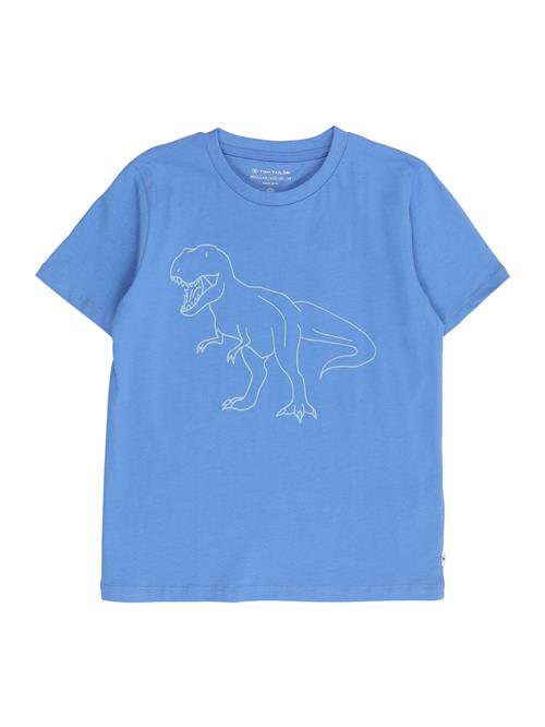 TOM TAILOR Shirts  azur / pastelgrøn