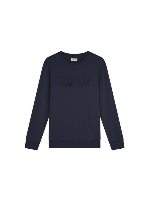 Scalpers Sweatshirt ' '  blå / navy