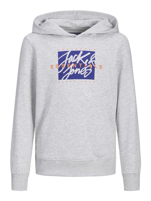 JACK & JONES MINI Sweatshirt 'JJColton'  blå / grå