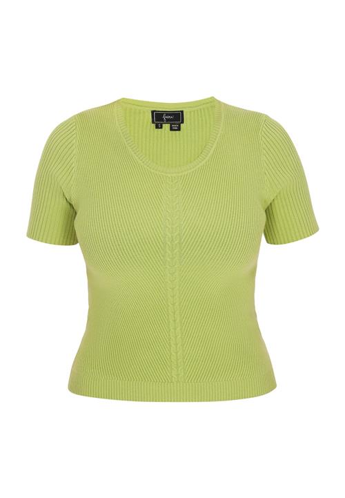 faina Pullover  kiwi