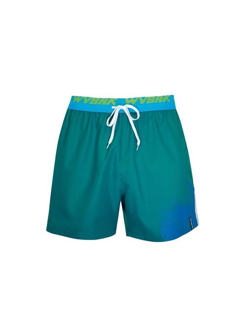wavebreaker Badeshorts  azur / æble / mørkegrøn