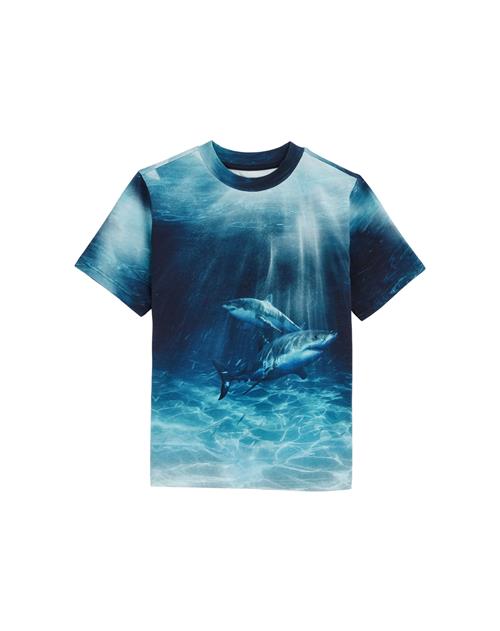 WE Fashion Shirts  blå / marin / azur / hvid