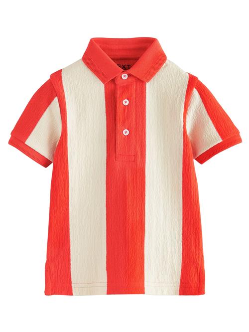 Next Shirts  lysebeige / hummer