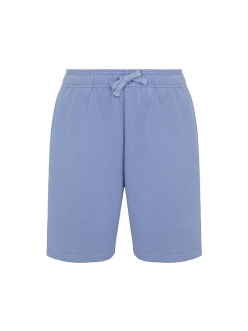 DICKIES Bukser 'MAPLETON'  azur