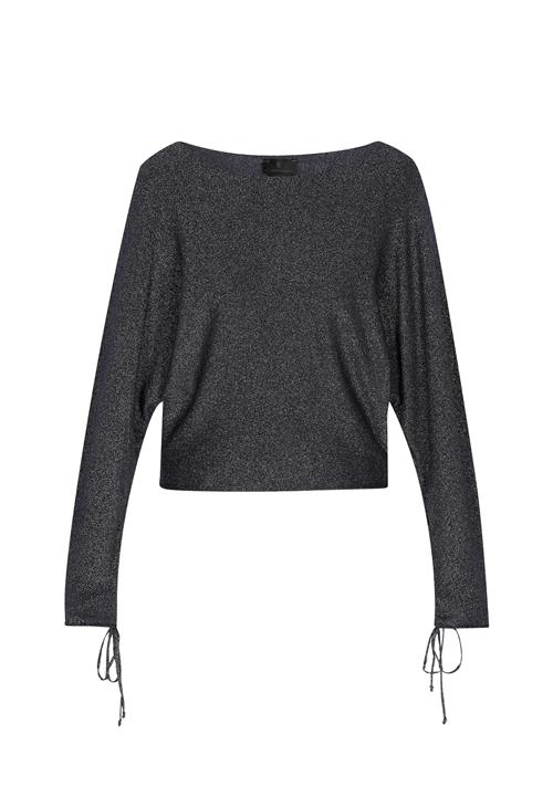 DreiMaster Klassik Pullover 'Classic Look'  natblå / sølv