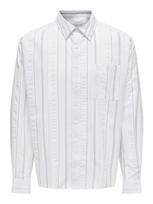 Only & Sons Skjorte 'ONSQuentin'  blå / lyseblå / hvid