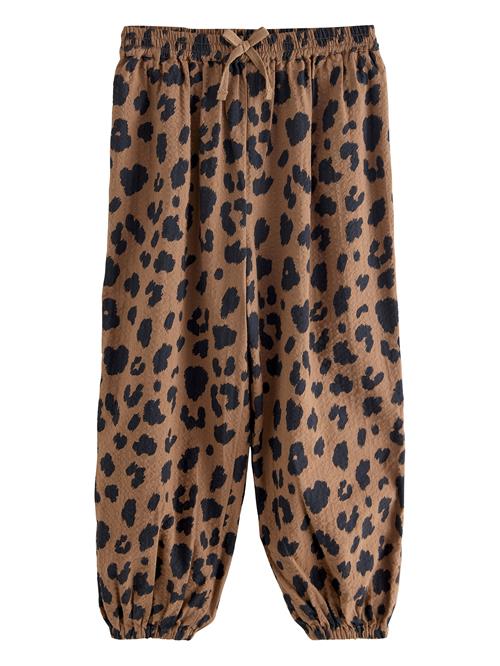 Next Bukser  brun / sort