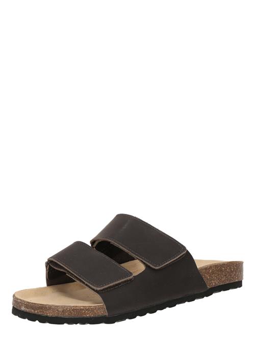 Bianco Pantoletter 'LORENZO'  mørkebrun