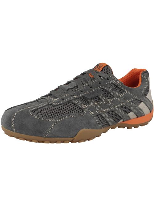 GEOX Sneaker low 'Snake Original'  creme / antracit