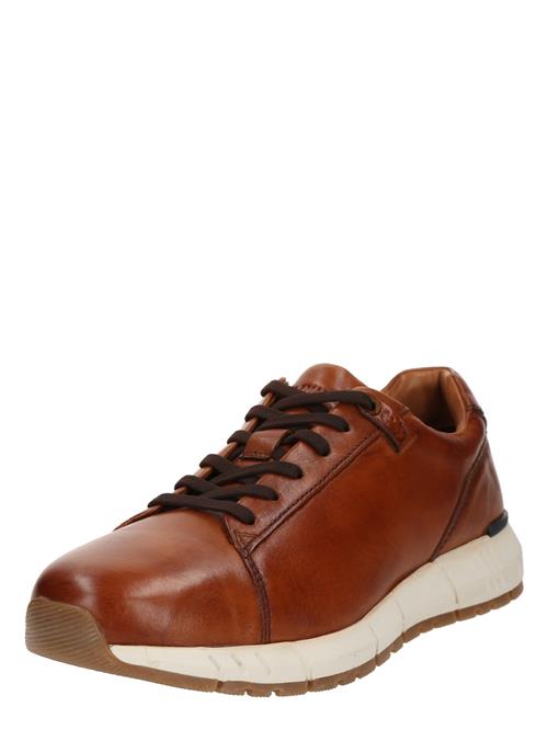 SALAMANDER Sneaker low  okker