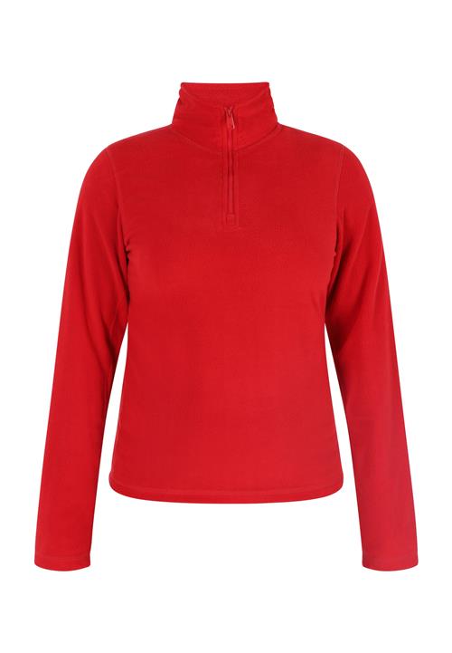 COBIE Pullover  rød