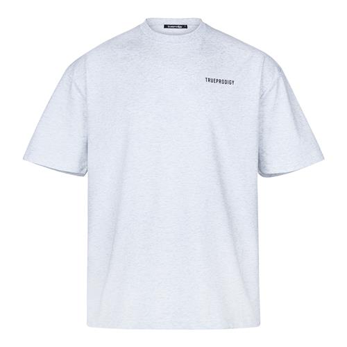 trueprodigy Bluser & t-shirts 'Lior'  grå-meleret