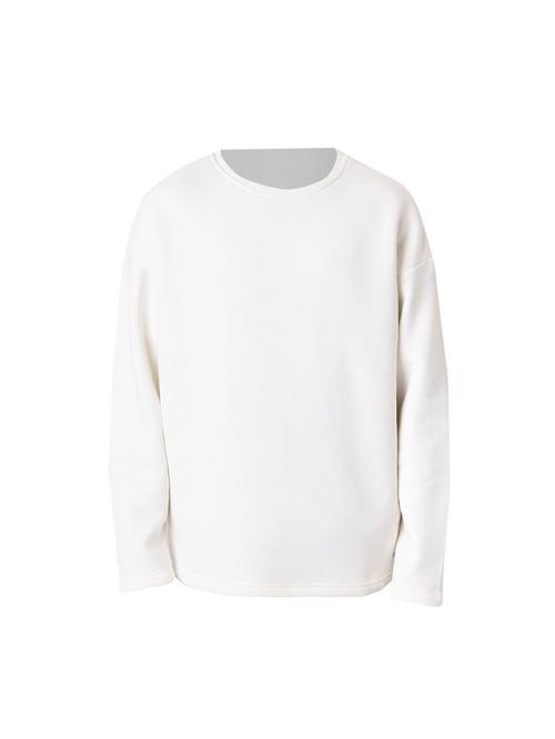 Dandalo Sweatshirt  lysegrå