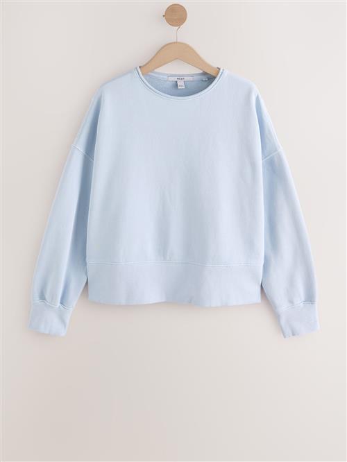 Next Sweatshirt  lyseblå