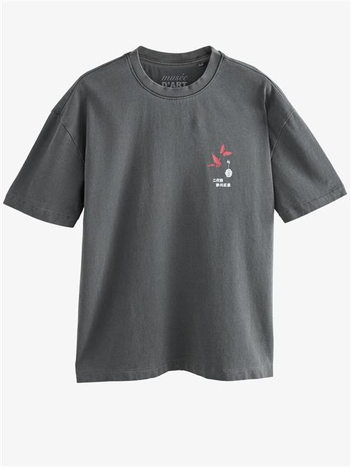 Next Bluser & t-shirts  grå / rød / hvid