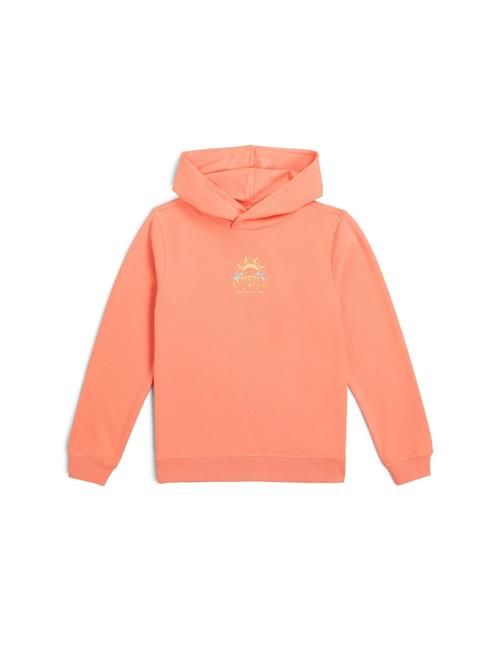 O'NEILL Sweatshirt  blandingsfarvet / koral